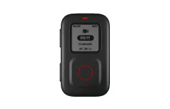 The Remote